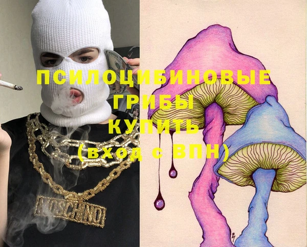дмт Магадан