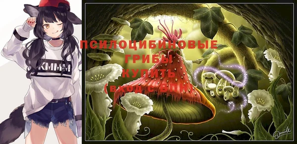 дмт Магадан