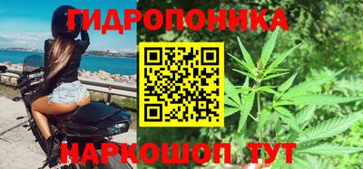 PSILOCYBIN Можга