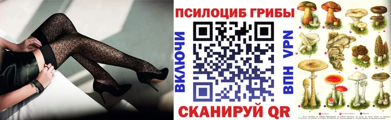 где купить   Нефтеюганск  Псилоцибиновые грибы Cubensis 