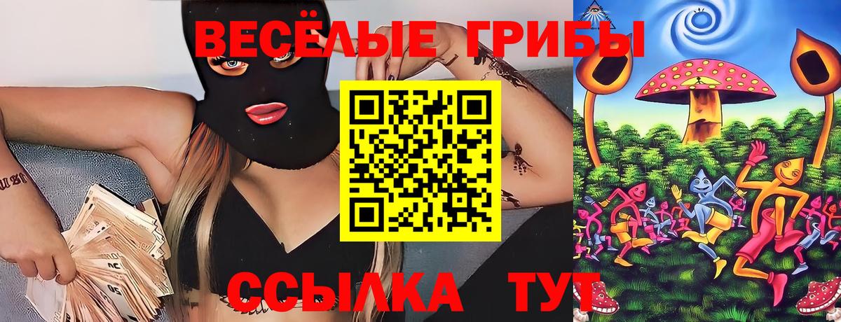 Псилоцибиновые грибы прущие грибы  Вход с VPN  Нефтеюганск  Галлюциногенные грибы Psilocybe 